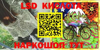 гашик Краснодар