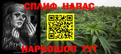 гашик Краснодар