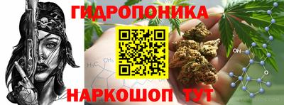 гашик Краснодар