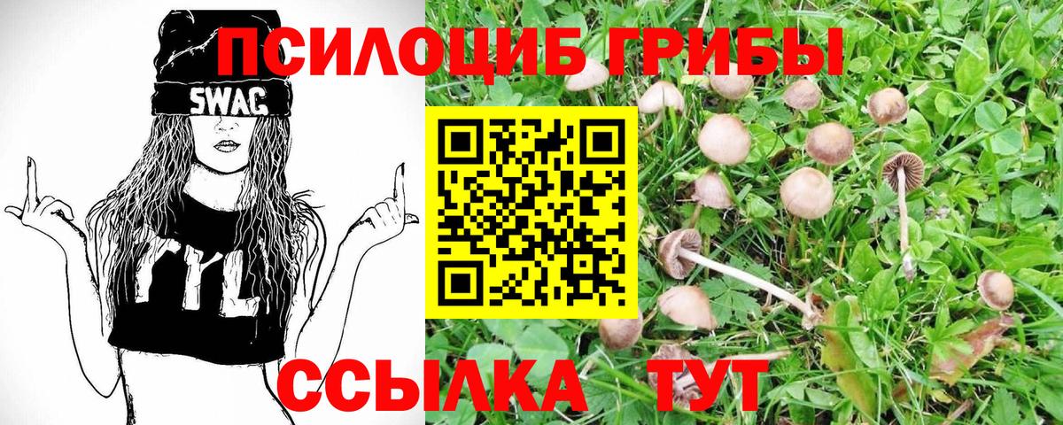 Псилоцибиновые грибы Psilocybine cubensis  Галлюциногенные грибы GOLDEN TEACHER  Вход с VPN  магазин продажи   Камень-на-Оби 