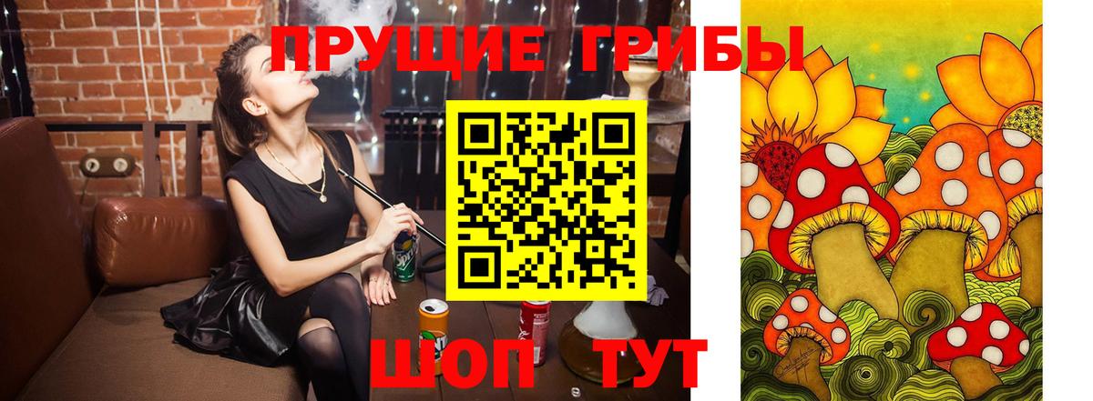 Галлюциногенные грибы мухоморы Камень-на-Оби